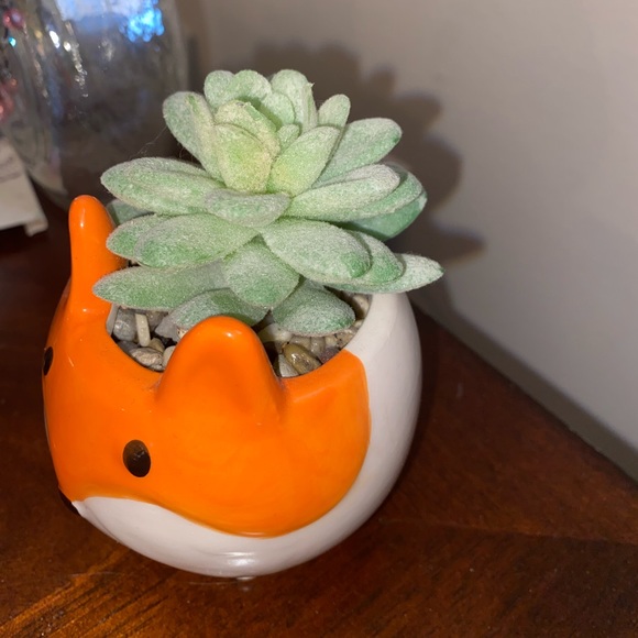 Faux/Fake Fox Succulent Home Decor - Picture 4 of 7
